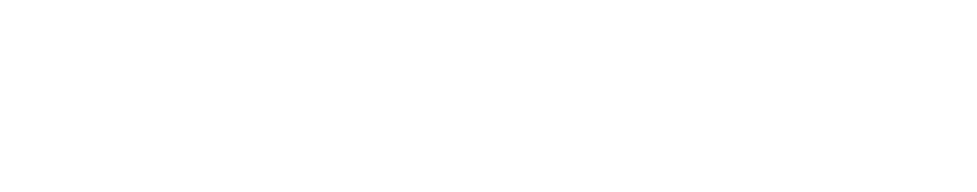 The Footwears